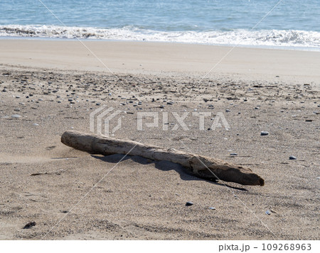 砂浜の流木。 砂浜の流木。 109268963