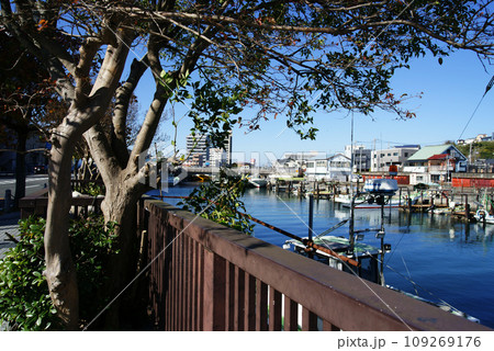 横須賀市久里浜　平作川(ひらさくがわ) 109269176