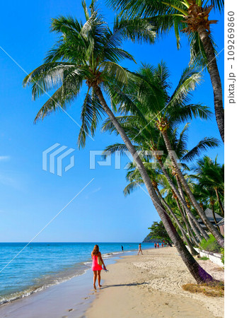 Beautiful tropical of White Sands Beach, Chang island (Koh chang) ,Thailand 109269860