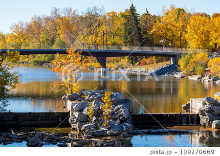 Prince's Island Park autumn foliage scenery. Jaipur Bridge ( Bow River Pathway Bridge ), Downtown Calgary, Alberta, Canada. 109270669