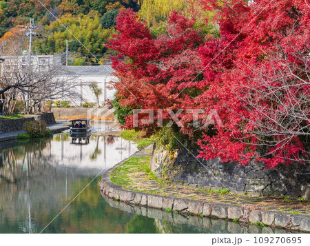秋の近江八幡　八幡堀 109270695
