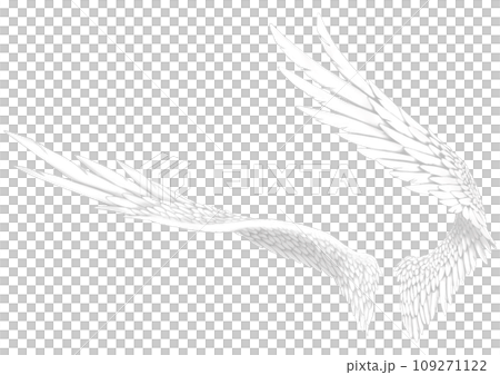 撲著白色的翅膀 撲著白色的翅膀 109271122