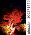 ライトアップされた紅葉 109271770