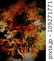 ライトアップされた紅葉 109271771