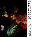 ライトアップされた紅葉 109271772