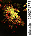 ライトアップされた紅葉 109271773