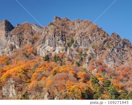 秋の妙義山 109271945