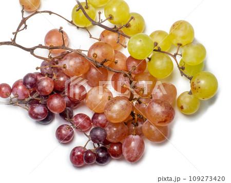 Grapes on a white background. berries for wine. Berry isolate. Sweet grapes kishmish. Grapes on a white background. berries for wine. Berry isolate. Sweet grapes kishmish. 109273420