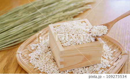 米麹と稲穂 米麹と稲穂 109273534
