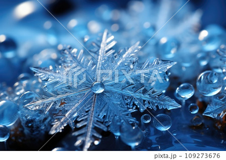 Delightful snowflake: close-up on a blue background. 109273676