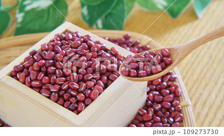 小豆・あずき 109273730
