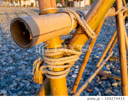Bamboo sticks are tied with a rope. Close-up of the fence on the shore. Detail of the building. Part of a bamboo fence. 109274415