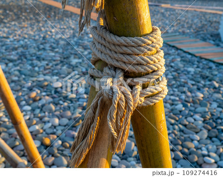Bamboo sticks are tied with a rope. Close-up of the fence on the shore. Detail of the building. Part of a bamboo fence. Bamboo sticks are tied with a rope. Close-up of the fence on the shore. Detail of the building. Part of a bamboo fence. 109274416