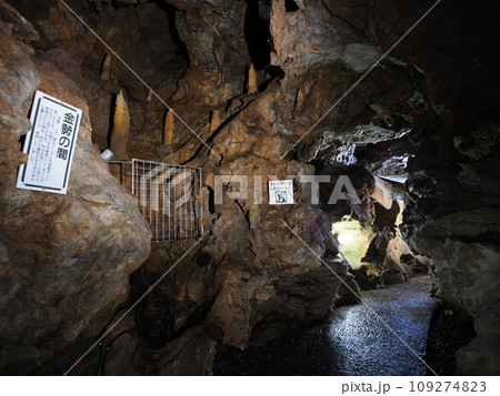 群馬・みどり市 小平鍾乳洞 群馬・みどり市 小平鍾乳洞 109274823