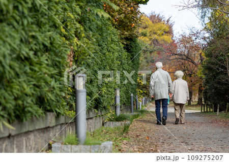 遊歩道をウオーキングしている白髪の老夫婦 109275207