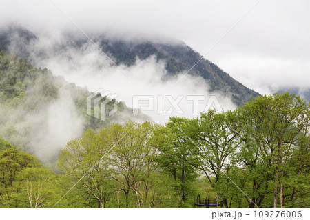 霧に包まれる山 109276006