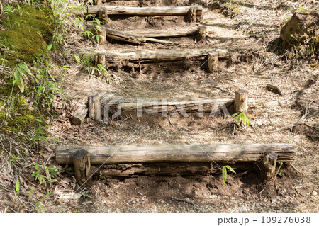 ハイキングコースの木製階段 109276038