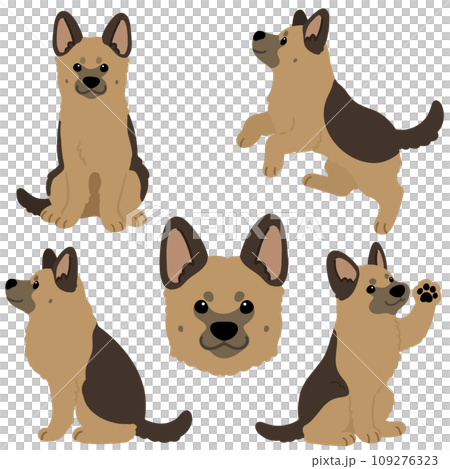 Simple and cute German shepherd illustration set without main lines 109276323