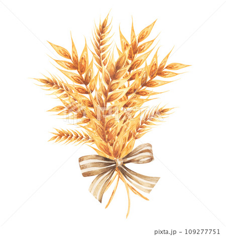 Hand drawn watercolor yellow wheat ears bouquet illustration. 109277751