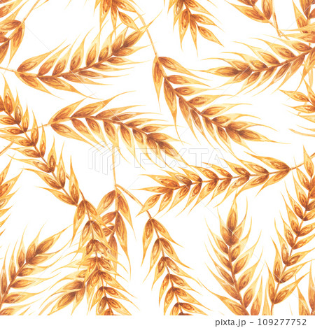 Ears wheat spikelets on a white background. Watercolor seamless pattern hand drawn. For textile, fabric, wallpaper Ears wheat spikelets on a white background. Watercolor seamless pattern hand drawn. For textile, fabric, wallpaper 109277752