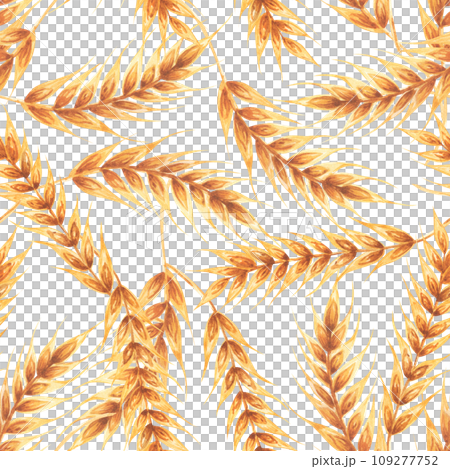 Ears wheat spikelets on a white background. Watercolor seamless pattern hand drawn. For textile, fabric, wallpaper Ears wheat spikelets on a white background. Watercolor seamless pattern hand drawn. For textile, fabric, wallpaper 109277752