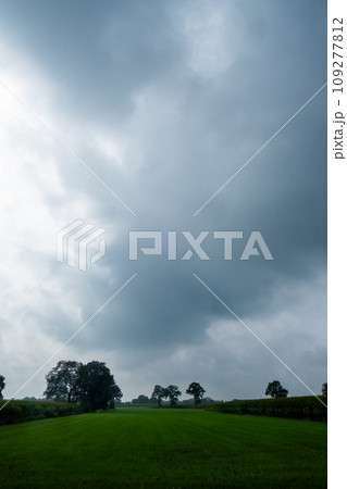 Monochrome Majesty: Stormy Skies over Lush Fields Monochrome Majesty: Stormy Skies over Lush Fields 109277812