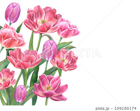 Lush bouquet with blooming tulips. Flowers with green leaves, stems. Spring romance composition with copy space for text. Watercolor illustration. For Save the date, Valentines day cards 109280174