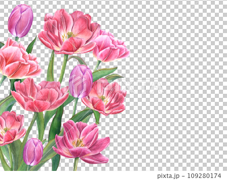 Lush bouquet with blooming tulips. Flowers with green leaves, stems. Spring romance composition with copy space for text. Watercolor illustration. For Save the date, Valentines day cards 109280174