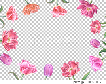 Horizontal frame with blooming tulips. Flowers with green leaves. Spring romance composition with copy space for text. Watercolor illustration. For Save the date, Valentines day cards 109280176