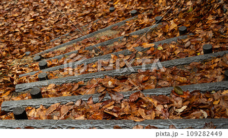 階段と落ち葉の風景 109282449