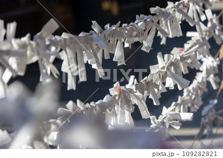 少林山達磨寺　結ばれた御神籤 109282821