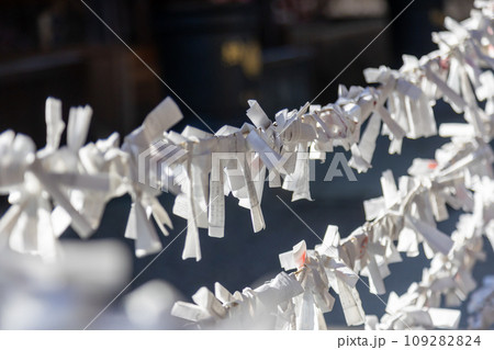 少林山達磨寺　結ばれた御神籤 109282824