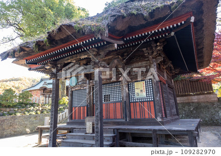 少林山達磨寺 観音堂 高崎市 少林山達磨寺 観音堂 高崎市 109282970