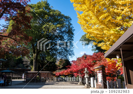 少林山達磨寺 境内の紅葉 高崎市 少林山達磨寺 境内の紅葉 高崎市 109282983