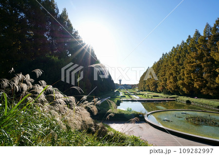 公園の秋景色 公園の秋景色 109282997