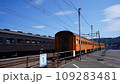 大井川鉄道のSL蒸気機関車と列車 109283481