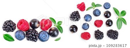 blackberry blueberry raspberry black currant isolated on white background with copy space for your text. Top view. Flat lay pattern blackberry blueberry raspberry black currant isolated on white background with copy space for your text. Top view. Flat lay pattern 109283617