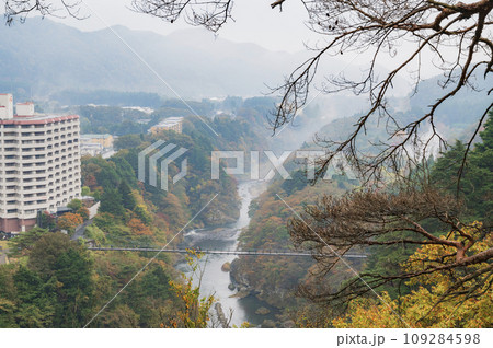 栃木　楯岩展望台からの眺望 109284598