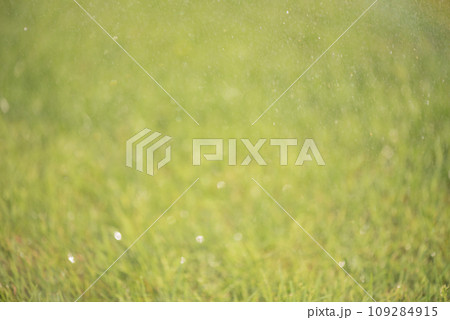 Defocused photo of a lawn with flying water droplets. Defocus light green grass, bokeh. Defocused photo of a lawn with flying water droplets. Defocus light green grass, bokeh. 109284915