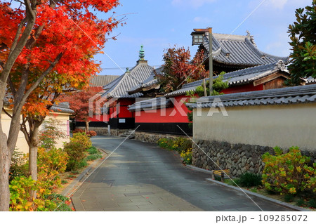 秋の寺町通り(合元寺・中津市寺町) 秋の寺町通り(合元寺・中津市寺町) 109285072