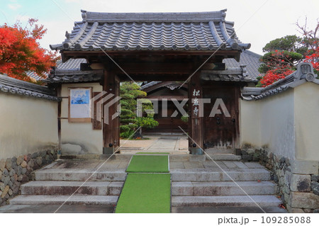 松厳寺(中津市寺町) 松厳寺(中津市寺町) 109285088