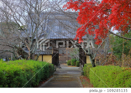 正行寺山門（登録有形文化財・中津市） 109285135