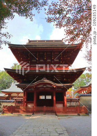 秋の薦神社神門（重要文化財・中津市・縦構図） 109285149