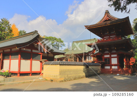 秋の薦神社（中津市） 109285160