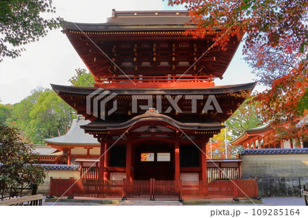 秋の薦神社神門（重要文化財・中津市） 109285164