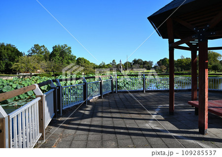平成の森公園　修景池　時の塔 　川島町　 109285537