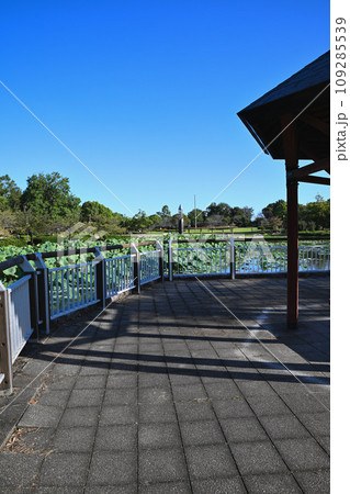 平成の森公園　修景池　時の塔 　川島町　 109285539