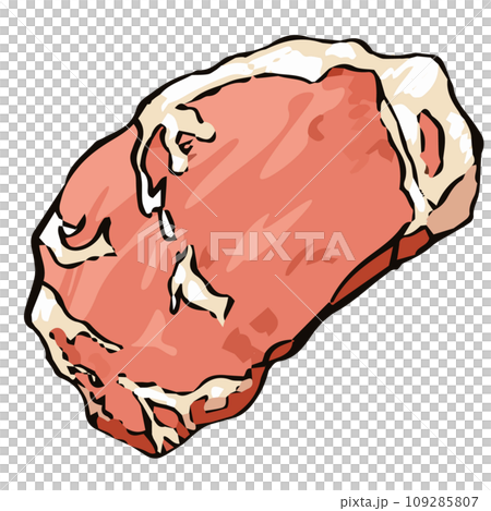 生肉食品第 1 部分。手繪風格插畫向量 109285807