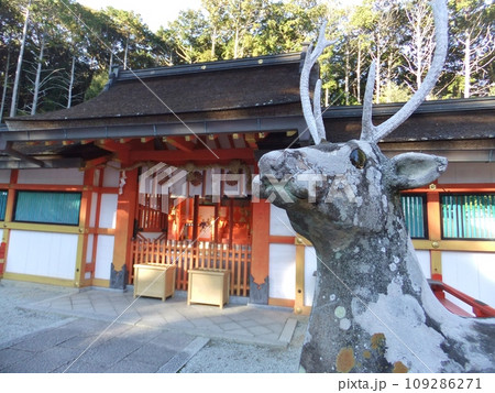 大原野神社 境内 大原野神社 境内 109286271