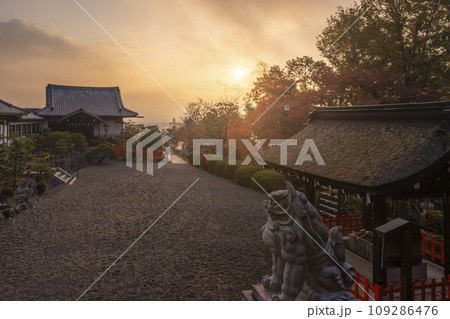 秋の京都船岡山 朝日を浴びる建勲神社の参道 秋の京都船岡山 朝日を浴びる建勲神社の参道 109286476